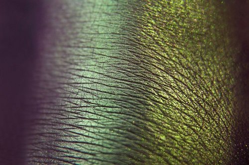 Тени для век Tammy Tanuka "Добывающая Аметисты" - коллекция Укротители гор, 1 мл