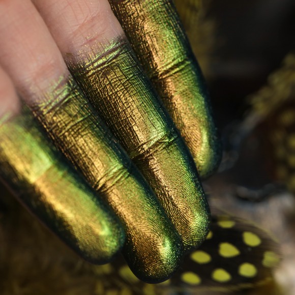 Тени для век Tammy Tanuka "Крылатая Чужеземка" - локация Пустыня Заката, 0.5 мл Тени для век Tammy Tanuka "Крылатая Чужеземка" - локация Пустыня Заката, 0.5 мл