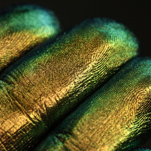 Тени для век Tammy Tanuka "Крылатая Чужеземка" - локация Пустыня Заката, 0.5 мл Тени для век Tammy Tanuka "Крылатая Чужеземка" - локация Пустыня Заката, 0.5 мл