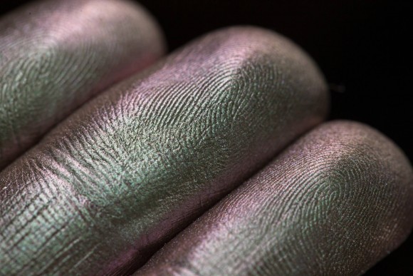 Тени для век Tammy Tanuka "Собирающая Горные Травы" - коллекция Горная Деревушка, 1 мл