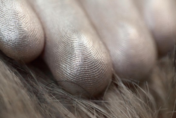 Тени для век Tammy Tanuka "Выкормившая Волчат" - коллекция Горная Деревушка, 1 мл Тени для век Tammy Tanuka "Выкормившая Волчат" - коллекция Горная Деревушка, 1 мл