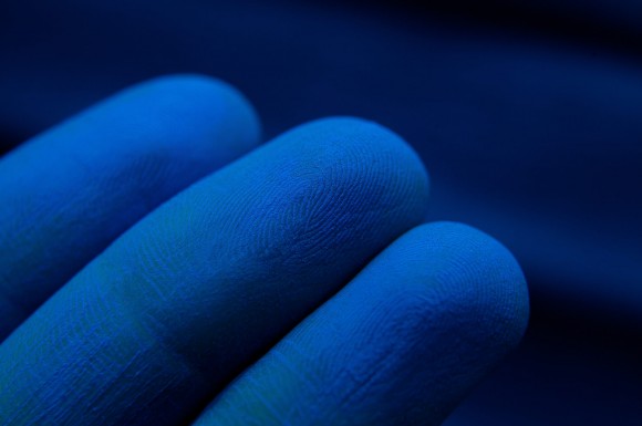 Тени для век Tammy Tanuka "Синяя Птичка" - локация Радужный Замок, 1 мл