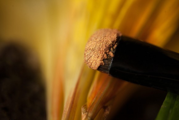 Тени для век Tammy Tanuka "Львенок" - локация Лунное Плато, 1 мл Тени для век Tammy Tanuka "Львенок" - локация Лунное Плато, 1 мл