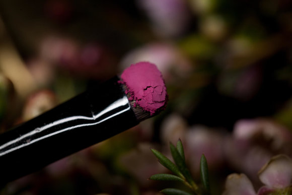 Тени для век Tammy Tanuka "Заявляющая о Себе", локация Светлый Замок, 1 мл