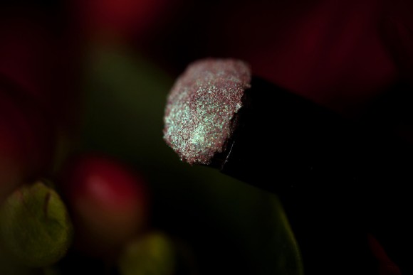 Тени для век Tammy Tanuka "Сердцеедка" - локация Цветущие Земли, 1 мл Тени для век Tammy Tanuka "Сердцеедка" - локация Цветущие Земли, 1 мл