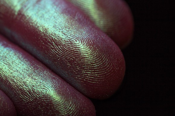 Тени для век Tammy Tanuka "Сердцеедка" - локация Цветущие Земли, 1 мл Тени для век Tammy Tanuka "Сердцеедка" - локация Цветущие Земли, 1 мл