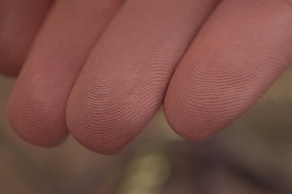 Тени для век Tammy Tanuka "Ценительница" - локация Темный Замок, 1 мл