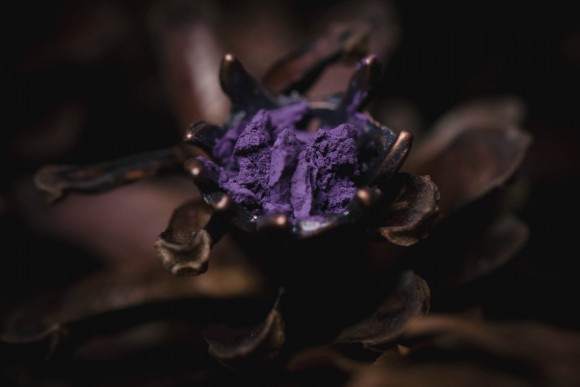 Тени для век Tammy Tanuka "Собеседница Мудрого Филина" - локация Темный Замок, 1 мл