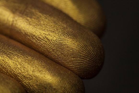 Тени для век Tammy Tanuka "Подмастерье Латунного Дома" - локация Горная Деревушка, 1 мл