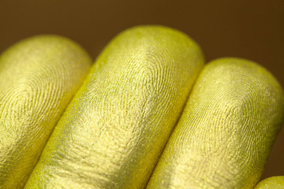 Тени для век Tammy Tanuka "Лимонный Бард" - локация Пустыня Заката, 1 мл