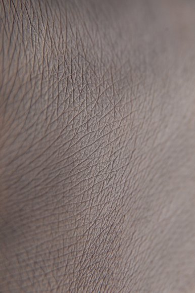 Тени для век Tammy Tanuka "Видящая в Сумерках" - локация Обитатели Ржавых Пустошей, 1 мл