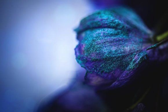 Тени для век Tammy Tanuka "Океанида" - серия Туманные Земли, 1 мл