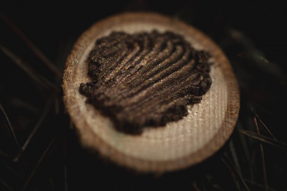 Тени для век Tammy Tanuka "Совенок" - локация Чудолесье, 0.5 мл Тени для век Tammy Tanuka "Совенок" - локация Чудолесье, 0.5 мл