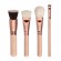 Набор 8 кистей Zoeva для макияжа + чехол - Rose Golden Luxury Brush Set - Volume 2