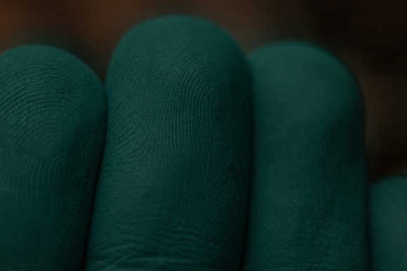 Тени для век Tammy Tanuka "Лесная Союзница" - локация Темный Замок, 1 мл