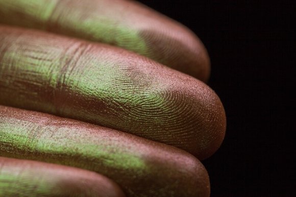 Тени для век Tammy Tanuka "Дозорная Древней Святыни" - локация Пустыня Заката, 1 мл