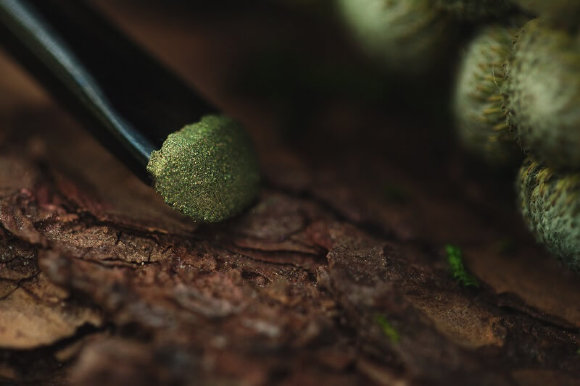 Тени для век Tammy Tanuka "Проводница Мшистых Топей" - серия Горная Деревушка, 1 мл