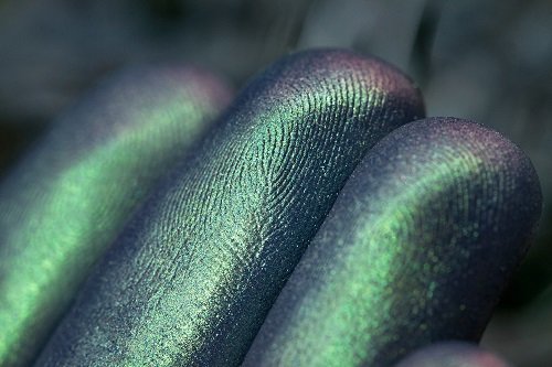 Тени для век Tammy Tanuka "Смущенное Дитя" - локация Приветливый Берег, 1 мл Тени для век Tammy Tanuka "Смущенное Дитя" - локация Приветливый Берег, 1 мл