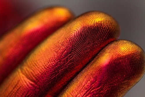 Тени для век Tammy Tanuka ХРОМАТИК: Воспламенение, 0.5 мл