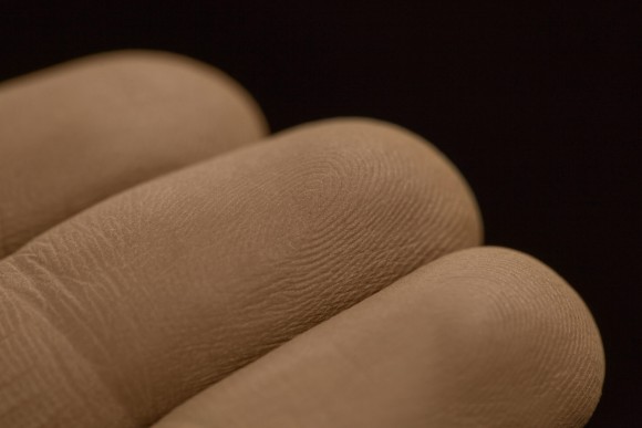 Тени для век Tammy Tanuka "Вольнодумающая" - локация Ржавые Пустоши, 1 мл