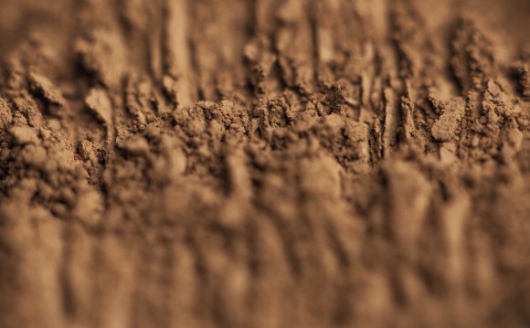 Тени для век Tammy Tanuka "Вольнодумающая" - локация Ржавые Пустоши, 1 мл