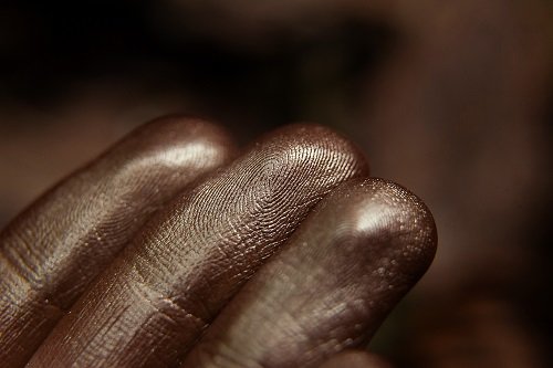 Тени для век Tammy Tanuka "Идущая Своим Путем" - локация Чудолесье, 1 мл