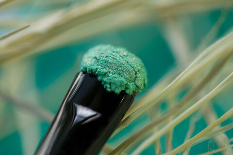 Тени для век Tammy Tanuka "Лукавая" -серия Русалки, 1 мл