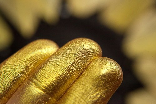 Тени для век Tammy Tanuka "Смиренная Дева" - локация Пустыня Заката, 1 мл