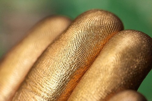 Тени для век Tammy Tanuka "Дочь Морского Царя" - локация Приветливый Берег, 1 мл