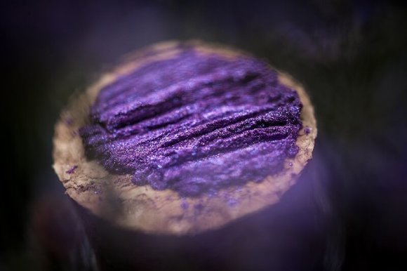 Тени для век Tammy Tanuka "Изучающая Геральдику" - локация Лунные Эльфы, 1 мл