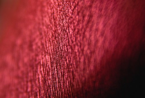 Тени для век Tammy Tanuka "Огненная Танцовщица" - коллекция Кочевницы Пустыни, 1 мл