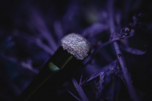 Тени для век Tammy Tanuka "Приверженец Покоя" - серия Лунные Эльфы, 1 мл