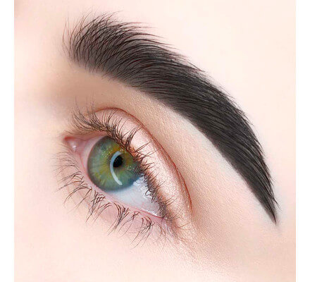 Хна для бровей Ekko Beauty - Black (черный)