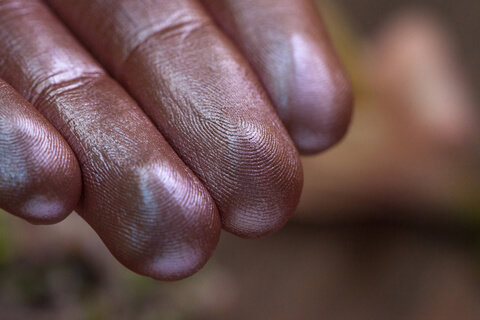 Тени для век Tammy Tanuka "Молчаливая" - серия Лунные Эльфы, 1 мл Тени для век Tammy Tanuka "Молчаливая" - серия Лунные Эльфы, 1 мл