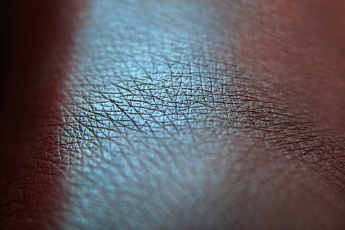 Тени для век Tammy Tanuka "Полирующая Клыки" - коллекция Нежить, 1 мл