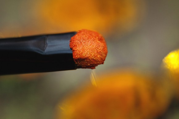 Тени для век Tammy Tanuka "Янтарная Прорицательница" - серия Русалки, 1 мл Тени для век Tammy Tanuka "Янтарная Прорицательница" - серия Русалки, 1 мл