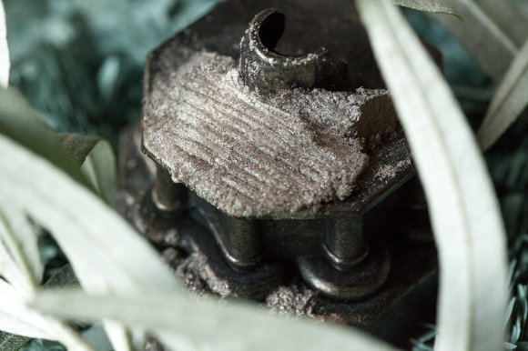 Тени для век Tammy Tanuka "Критик" - серия Горная Деревушка, 1 мл