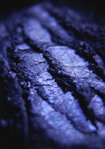 Тени для век Tammy Tanuka "Помнящая Имя Ворона" - коллекция Нежить, 1 мл Тени для век Tammy Tanuka "Помнящая Имя Ворона" - коллекция Нежить, 1 мл