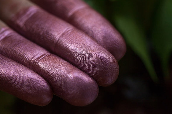 Тени для век Tammy Tanuka "Виноградная Душа" - локация Чудолесье, 1 мл