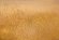 Тени для век Tammy Tanuka "Охраняющая Сокровищницу" - коллекция Кочевницы пустыни, 1 мл