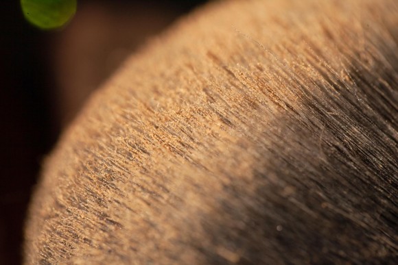 Хайлайтер Tammy Tanuka Серия - "Отражения": Порошок Отражения Марса, 2 мл