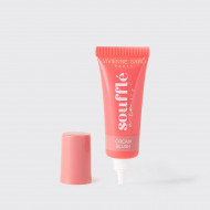 Кремовые румяна VIVIENNE SABO - Souffle a la rose - тон 01 Нежно-розовый Кремовые румяна VIVIENNE SABO - Souffle a la rose - тон 01 Нежно-розовый