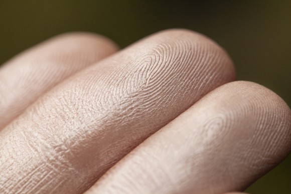 Хайлайтер Tammy Tanuka Серия - "Отражения": Порошок Отражения Меркурия, 2 мл Хайлайтер Tammy Tanuka Серия - "Отражения": Порошок Отражения Меркурия, 2 мл