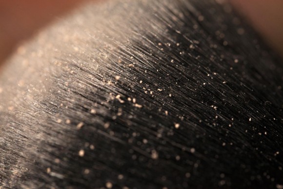 Хайлайтер Tammy Tanuka Серия - "Отражения": Порошок Отражения Меркурия, 2 мл Хайлайтер Tammy Tanuka Серия - "Отражения": Порошок Отражения Меркурия, 2 мл