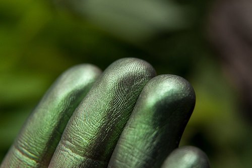 Тени для век Tammy Tanuka "Оберегающая Чащу Леса" - коллекция Друидесса, 1 мл