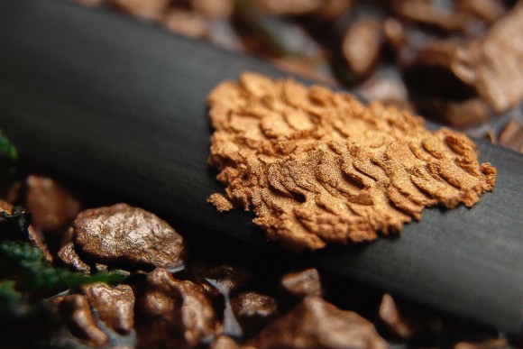 Тени для век Tammy Tanuka "Сладкоголосая Сирена" - коллекция Русалки, 1 мл Тени для век Tammy Tanuka "Сладкоголосая Сирена" - коллекция Русалки, 1 мл