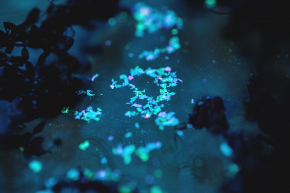 Тени для век Tammy Tanuka - Серия Фейская Пыльца: Бирюзовая Пыльца, 0.2 мл Тени для век Tammy Tanuka - Серия Фейская Пыльца: Бирюзовая Пыльца, 0.2 мл