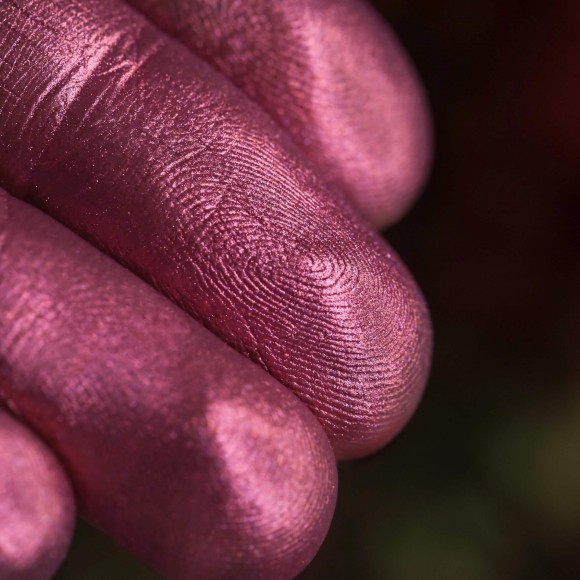 Тени для век Tammy Tanuka "Клюквенный Камикадзе" - локация Цветущие Земли, 1 мл Тени для век Tammy Tanuka "Клюквенный Камикадзе" - локация Цветущие Земли, 1 мл