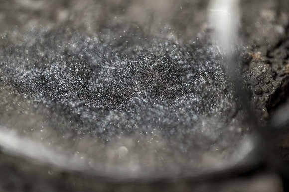 Тени для век Tammy Tanuka "Леди-Смерч" - локация Туманные Земли, 1 мл