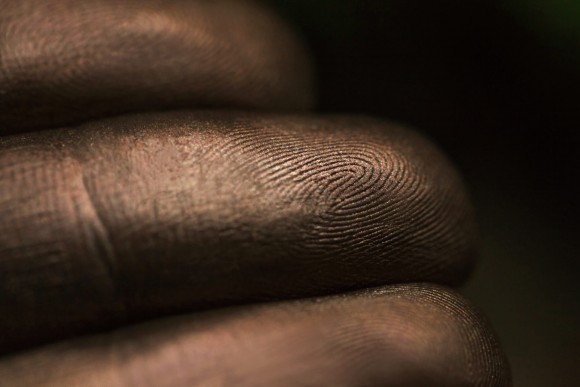 Тени для век Tammy Tanuka "Рассказывающая Старинные Предания" - коллекция Друидесс, 1 мл